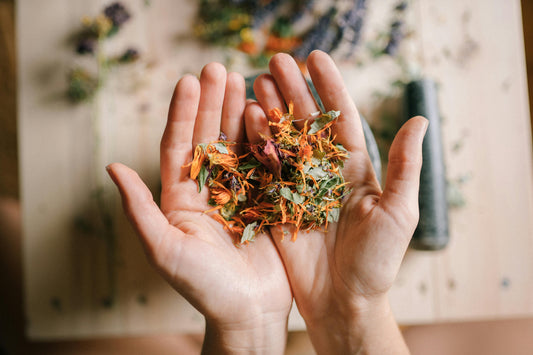 Unlocking the Flavor Power of Herbs and Spices: A Beginner’s Guide